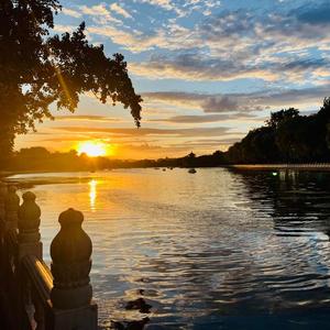 且听风吟•凤梧清泉 头像