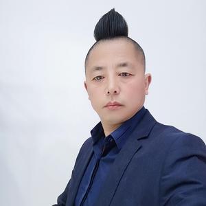 斑小将毛笔头李哥头像