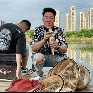 大杨哥爱钓鱼头像
