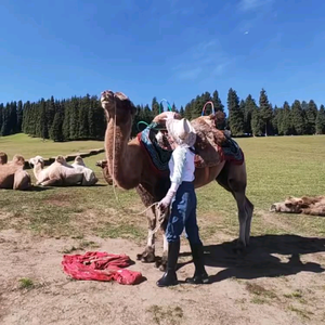 小溪旅拍头像