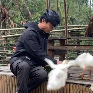 乡村华哥头像