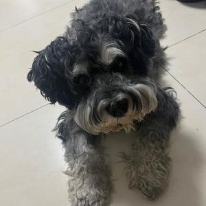 杨杨杨头像