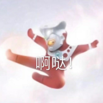 光之椰子君头像