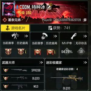 CODM特种冰头像