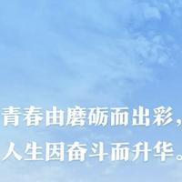 勇者戴利7Z头像