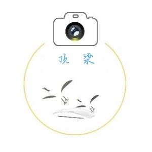 顶梁头像