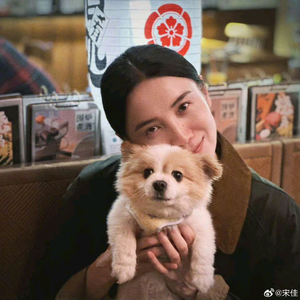 快乐小狗只想快乐头像