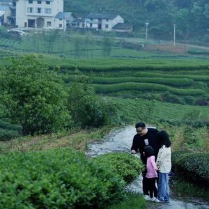 莳茗山房的辰辰和甯甯头像