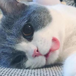 等风来790778头像