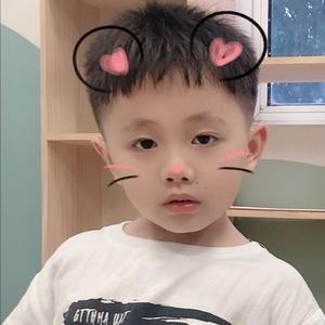 丸子姐411头像