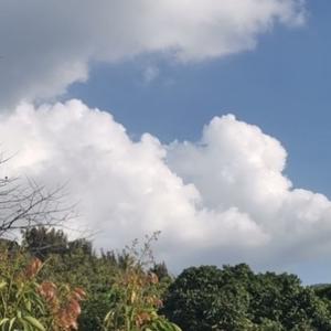 阿文的日常生活头像