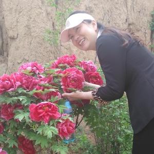 孟里花香头像