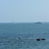 爱家岑溪5O6头像