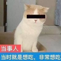 小猫睿头像