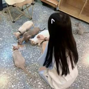妤年灬小号头像