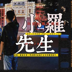 小罗先生说历史头像