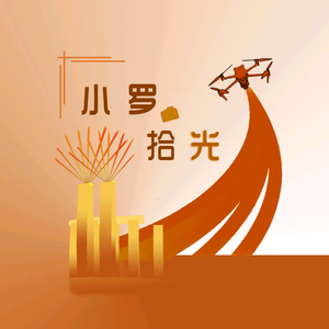 小罗拾光头像