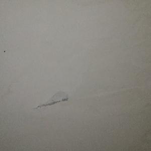 少钦头像
