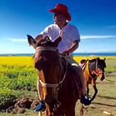 草原狼人zhu头像