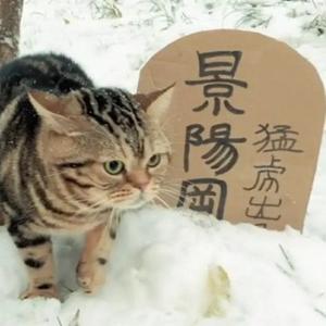北洋水师1984头像