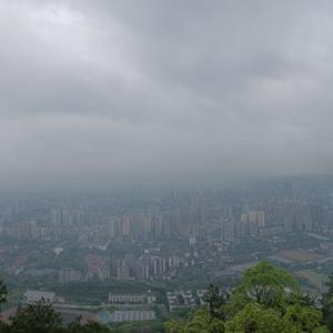 知行合一xs头像