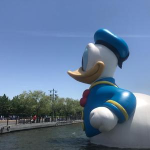 情感小狮子头像
