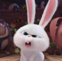 风姿卓越娜姐呀头像