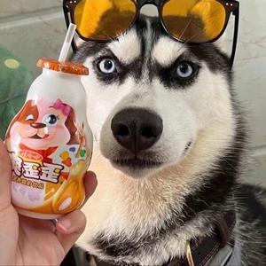 扩海网络咔叽咪头像