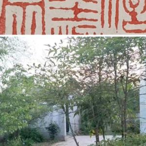 将军府庄头像
