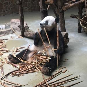 @慢走不宋头像