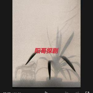 阳哥探剧6J0S头像