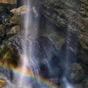 枫中听雨头像