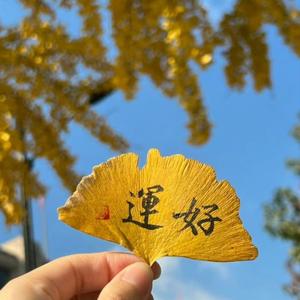 风轻云淡头像