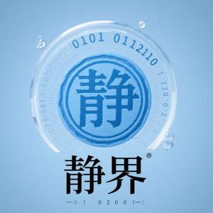 静界·IT·数字化领航头像
