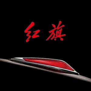 中国一汽-东方雅光头像