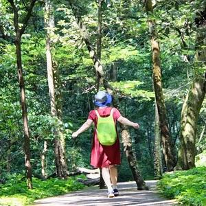 执着的灵动猴 头像