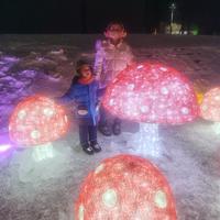 初漫步人生路头像