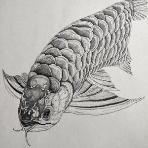 成都摄元素头像