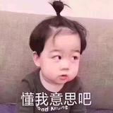 一只小菜笔头像
