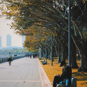 ztk风景头像