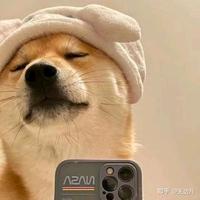 可爱盘锦3h1头像