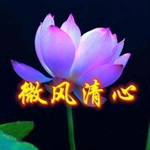 微风清心手工头像