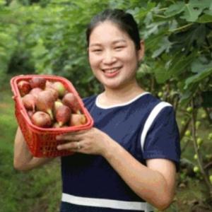 周静静宝妈头像