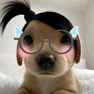 酱酱头像