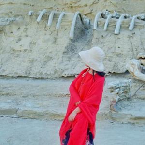 小渔的行旅日记头像