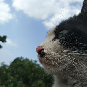 执迷不悟的小韭菜头像