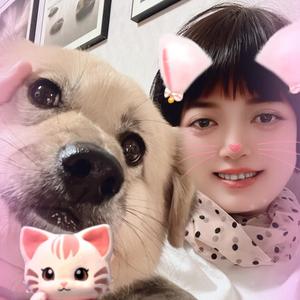 红姐的vlog头像