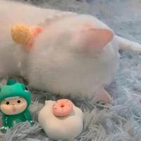 周周影视创作头像