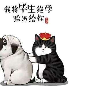 肉肉猫头像