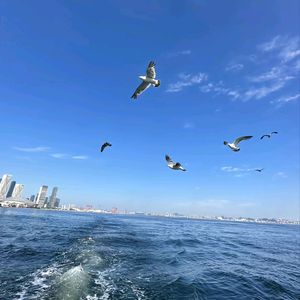 居李富人头像